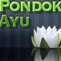 Pondokayu