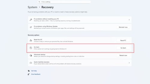 Go-back-to-Windows-10-option-in-Recovery-settings.thumb.jpg.6b85ba351f77e80a17d44766f396d386.jpg